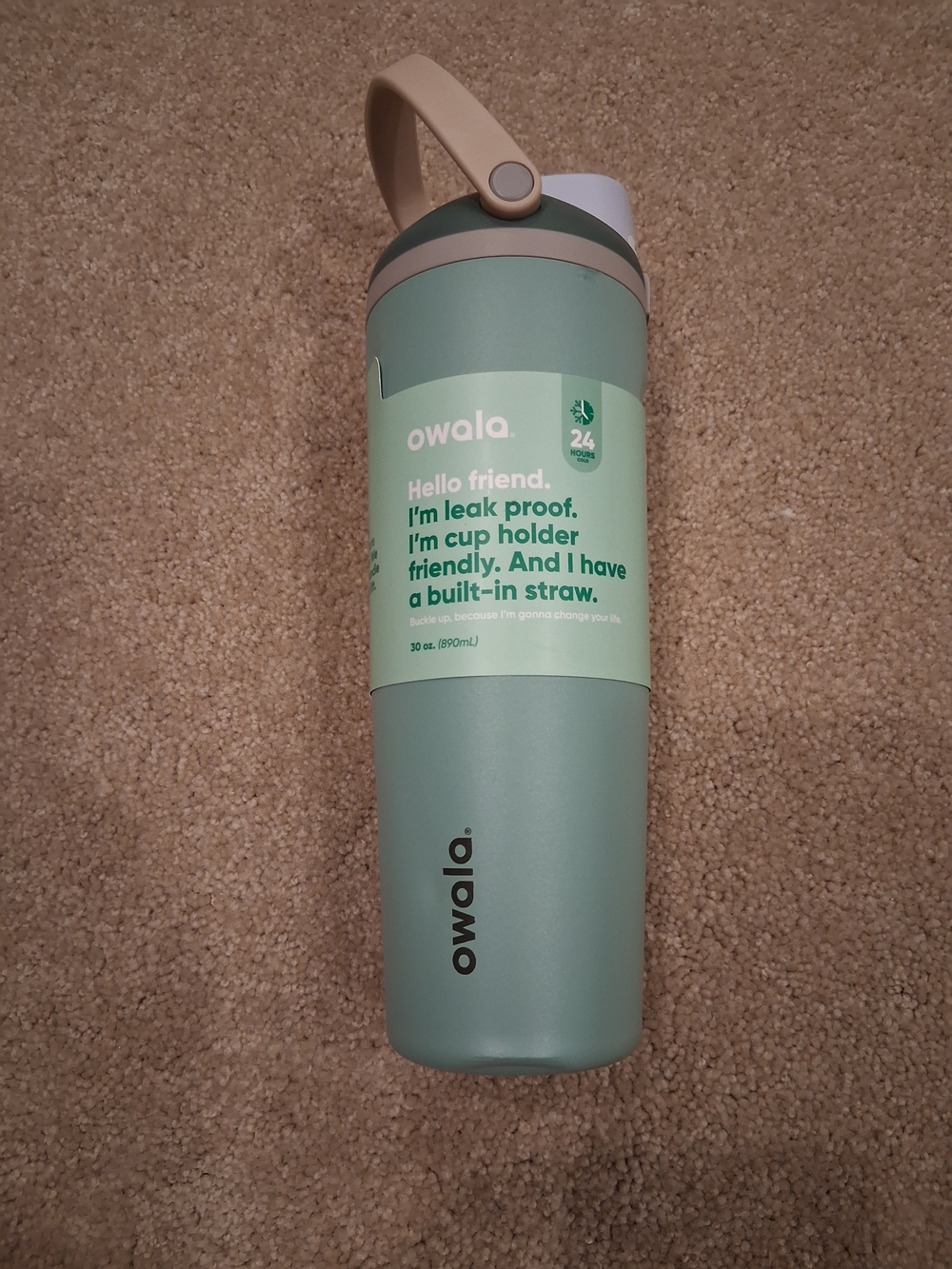 Owala Sage Green Insulated Bottle with Built‑In Straw and Handle Eucalyptus
